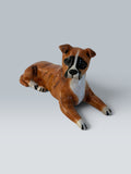 Poppy | Boxer