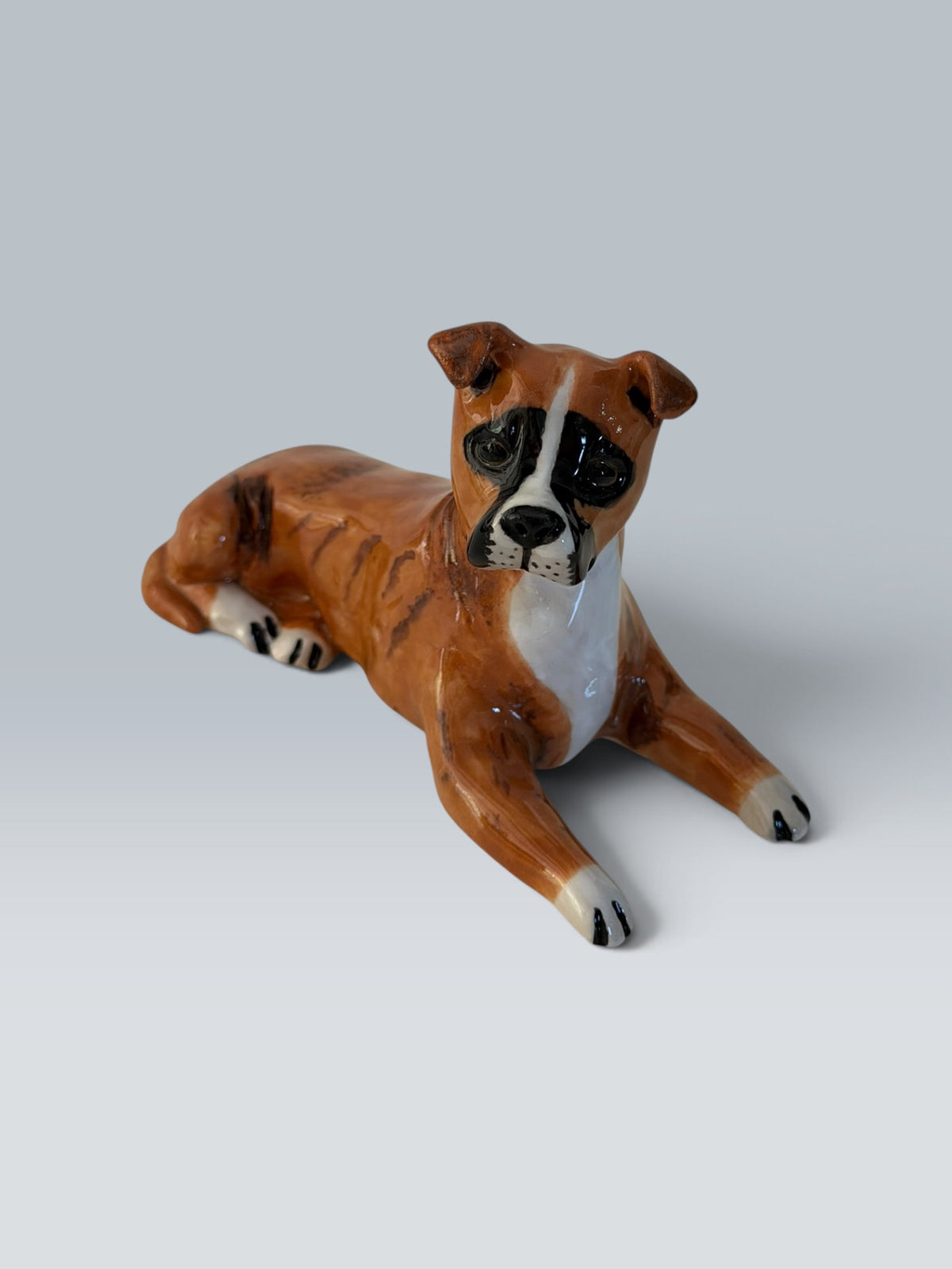Poppy | Boxer