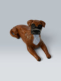 Otto | Boxer