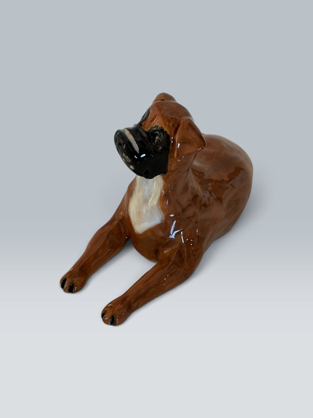 Otto | Boxer