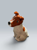Teddy | Jack Russell