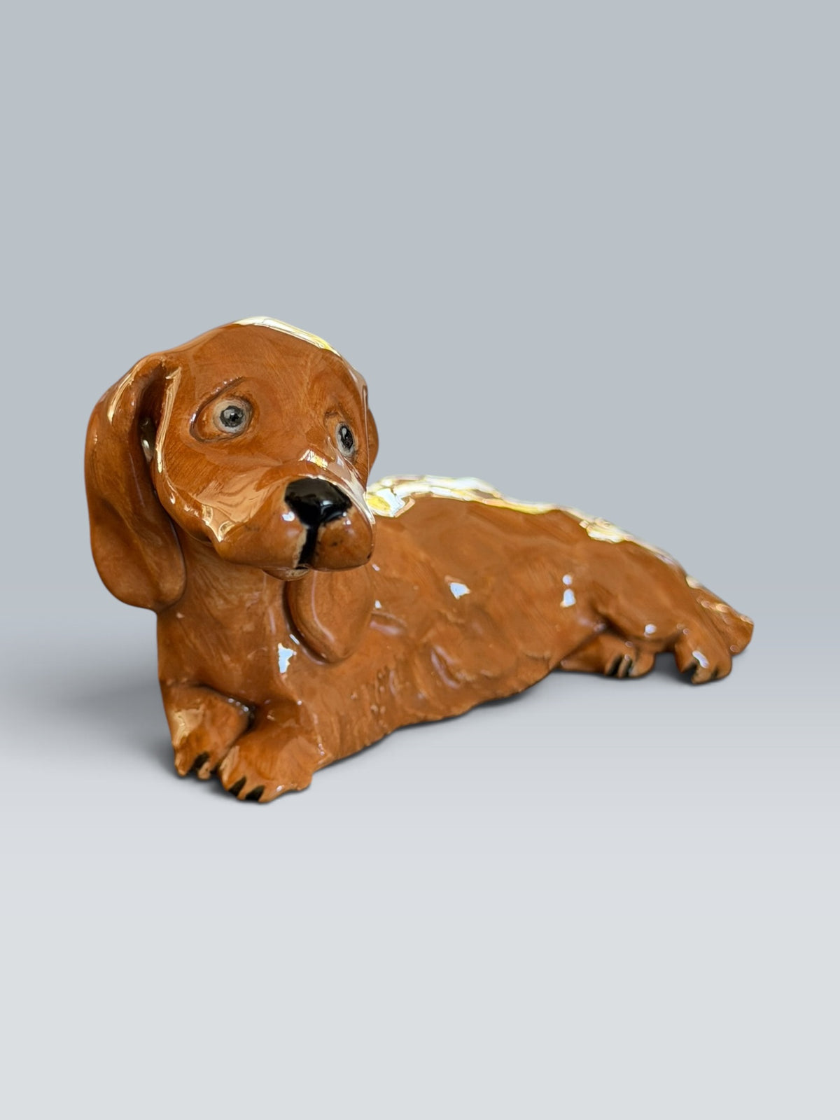Alfie | Cocker Anglais