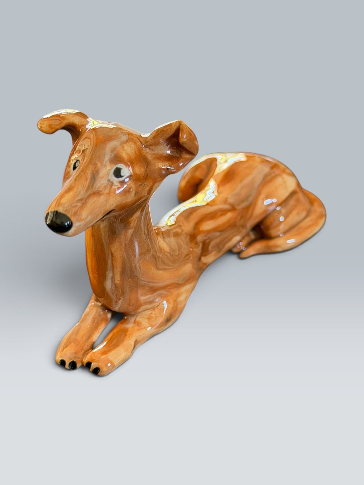 Mimi | Galgo espagnol