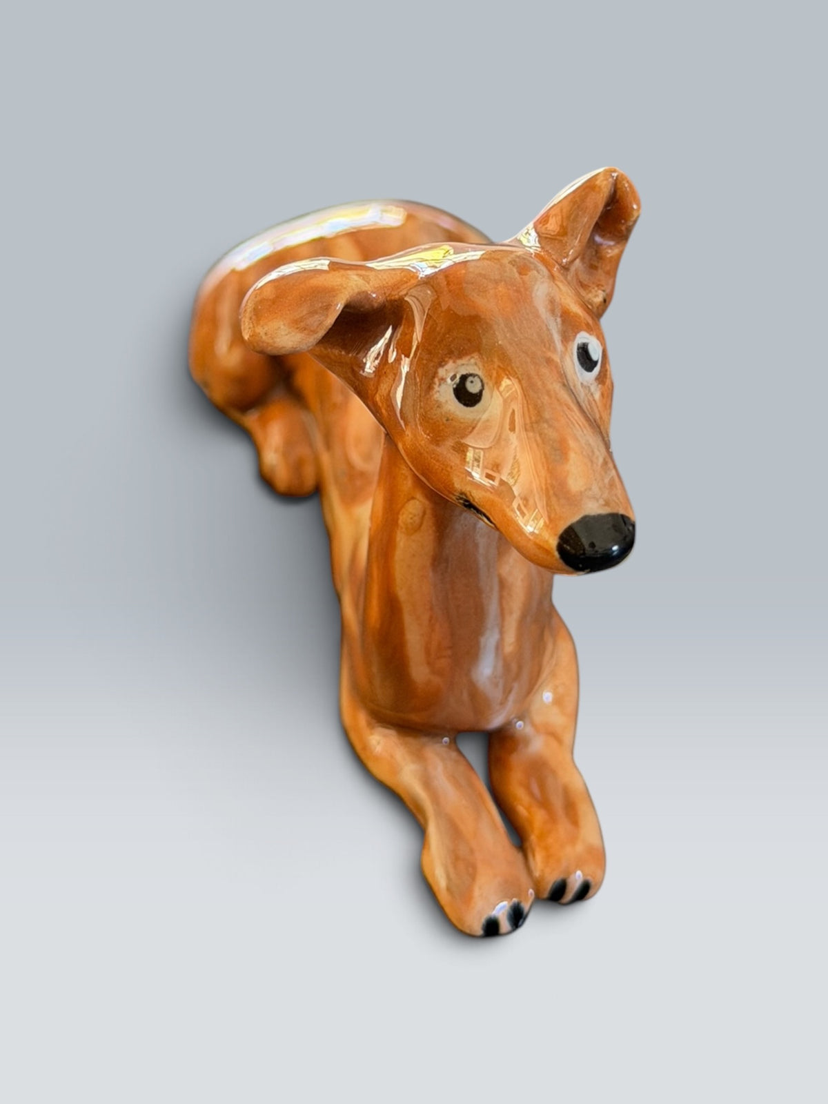 Mimi | Galgo espagnol