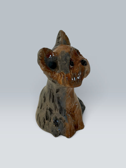 Benji | Yorkshire Terrier