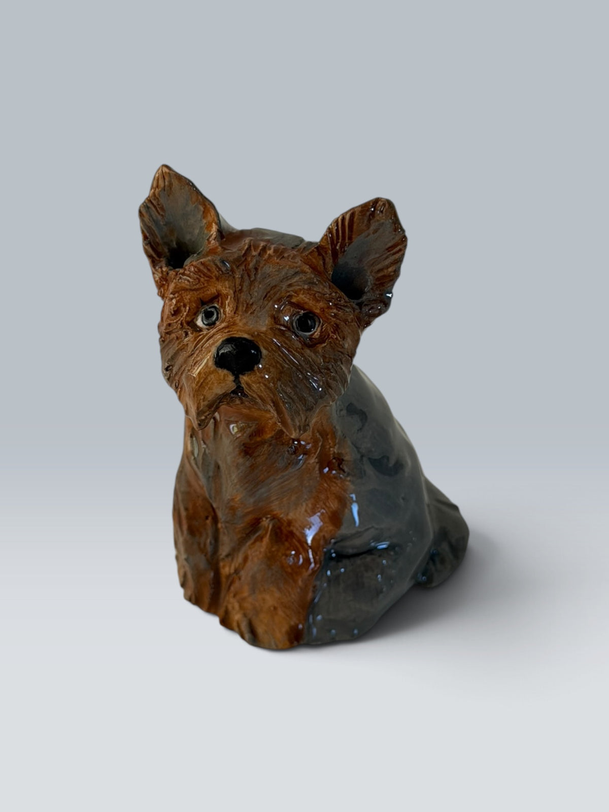 Sophie | Yorkshire Terrier