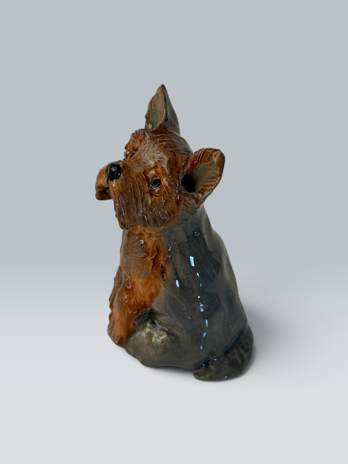 Sophie | Yorkshire Terrier