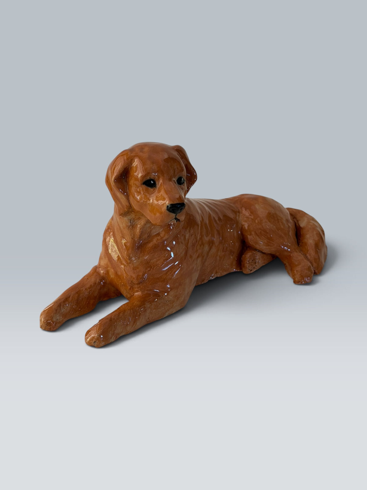 Lucy | Golden Retriever
