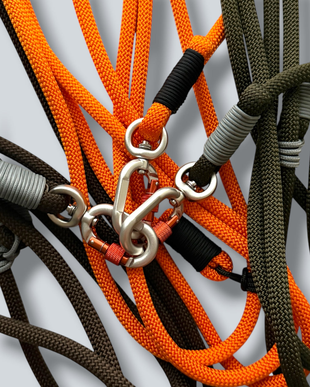 Laisse mains libres 10 mm
