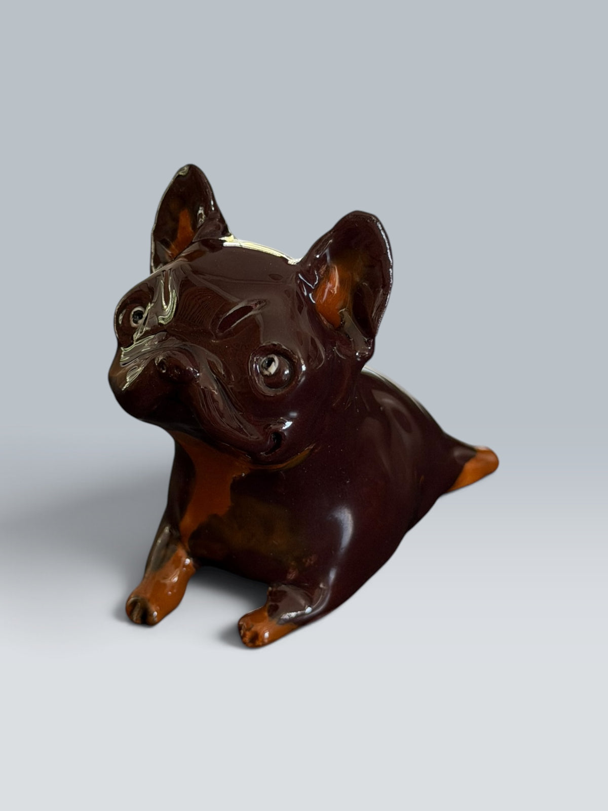 Maya | Bouledogue français