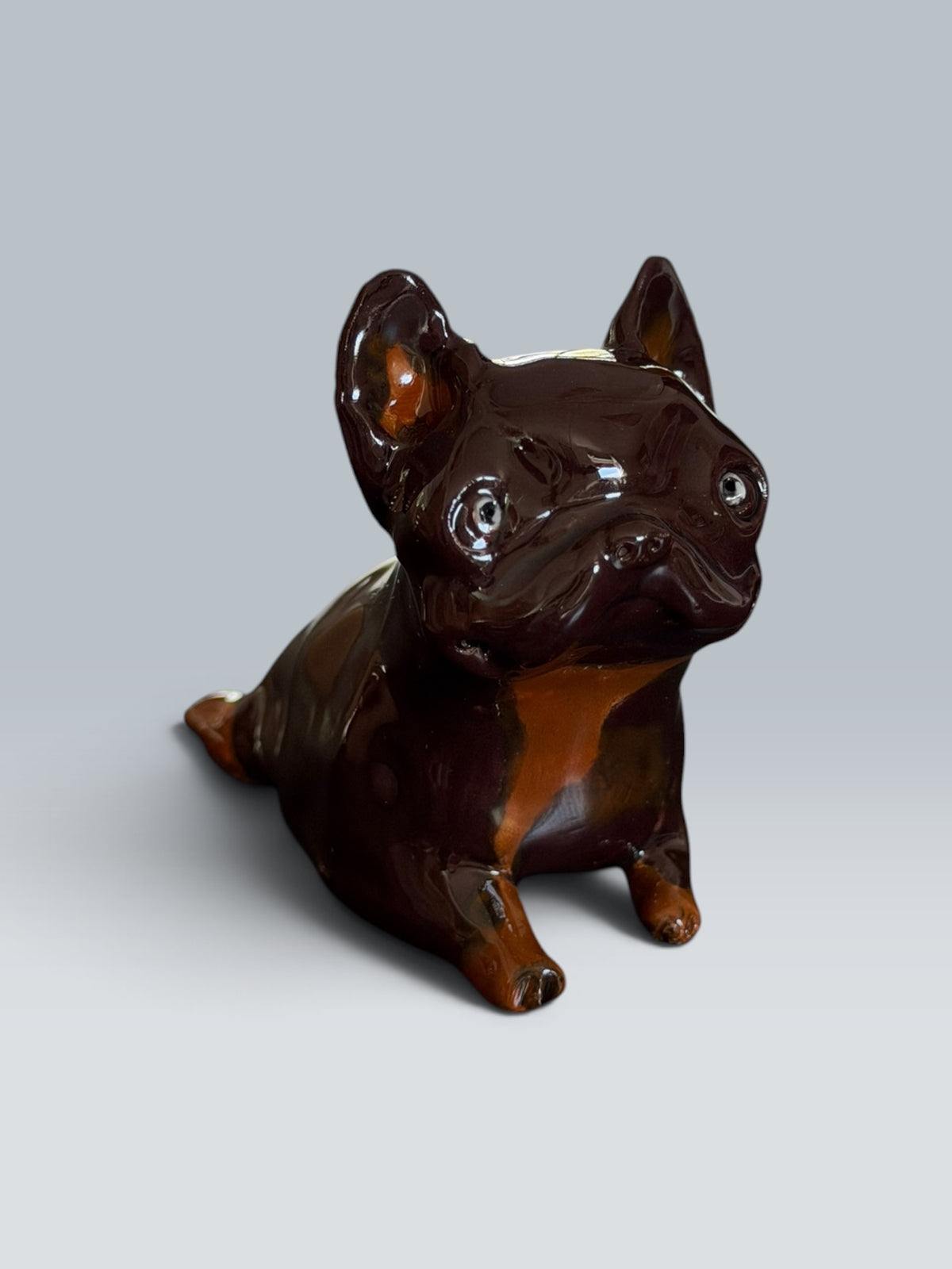 Maya | Bouledogue français